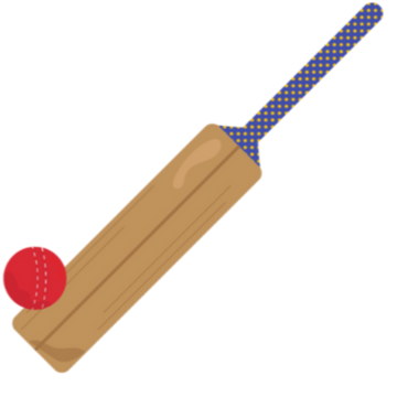 All small print - cricket